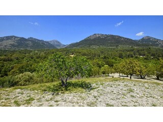 Holiday house Selva Environment 21