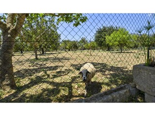 Casa per le vacanze Selva Ambiente 22
