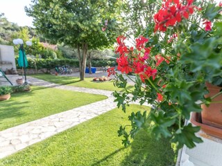 Appartement Zlarin  32