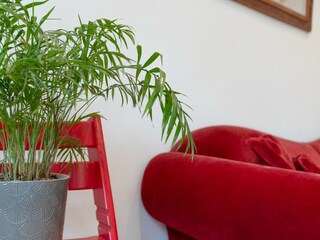 Casa de vacaciones Málaga  32