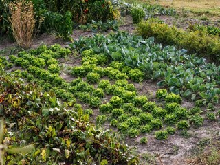 Vakantiehuis Polača Buitenaudio-opname 12