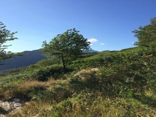 Casa de vacaciones Pescaglia Entorno 24