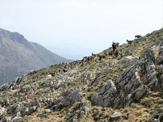 Casa de vacaciones Pescaglia Entorno 28