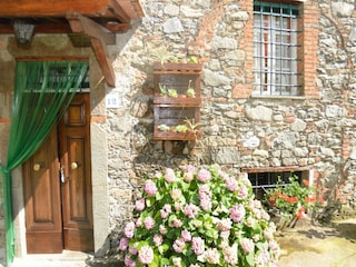 Cottage Pescaglia  34