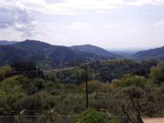 Holiday cottage Pescaglia Environment 31