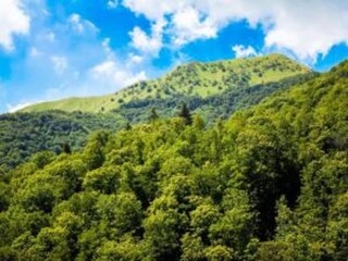Vakantiehuisje Pescaglia Omgeving 32
