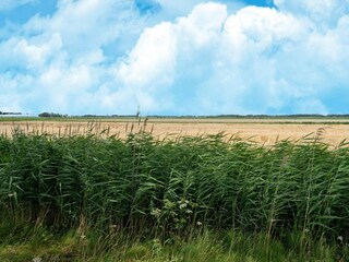 Ferienhaus Leiderdorp Umgebung 35