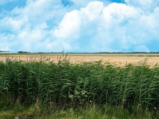 Casa per le vacanze Leiderdorp Ambiente 38