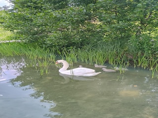 Holiday house Parchowo Environment 18