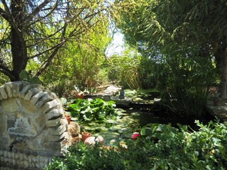 Ferienhaus Mallemort Außenaufnahme 4