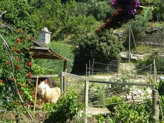 Casa de vacaciones Mallemort Grabación al aire libre 13