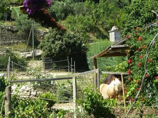 Casa de vacaciones Mallemort Grabación al aire libre 20