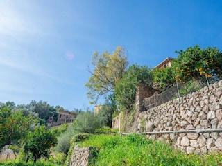 Ferienhaus Fornalutx Umgebung 28