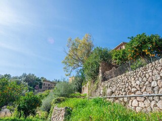 Maison de vacances Fornalutx Environnement 28