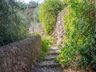 Ferienhaus Fornalutx Umgebung 29