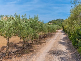 Villa Cala Bona Omgeving 37