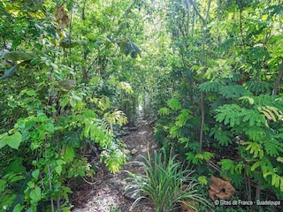 Parc de vacances Pointe Noire Enregistrement extérieur 20