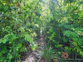 Vakantiepark Pointe Noire Buitenaudio-opname 20