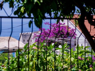 Appartement Dubrovnik  20