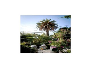 Appartement Dubrovnik Enregistrement extérieur 1