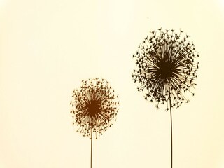 Appartamento Cavtat  34