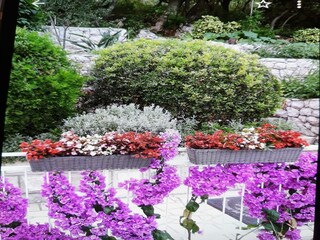 Appartement Koločep  23