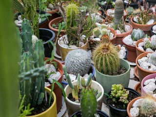 Apartamento Koločep Grabación al aire libre 3