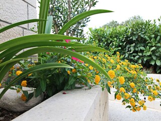 Maison de vacances Korcula (Stadt) Enregistrement extérieur 3