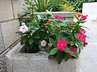 Ferienhaus Korcula (Stadt)  40