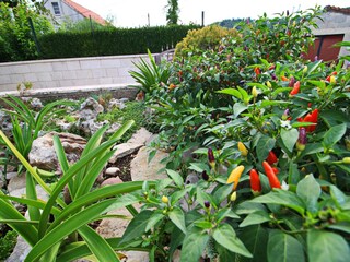 Vakantiehuis Korcula (Stadt) Buitenaudio-opname 7