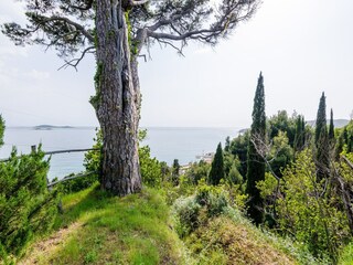 Appartement Mlini  25