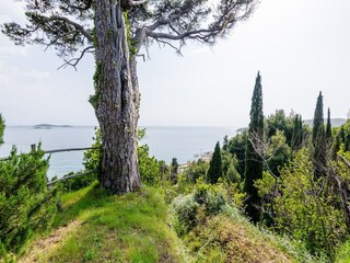 Appartement Mlini  23