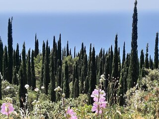 Casa per le vacanze Molunat  38