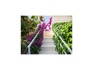 Apartment Supetar Features 10