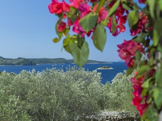 Maison de vacances Vela Luka  44