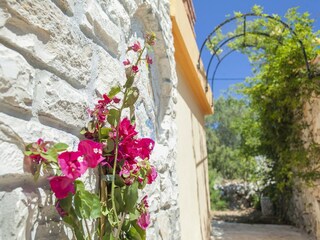 Vakantiehuis Vela Luka Buitenaudio-opname 14