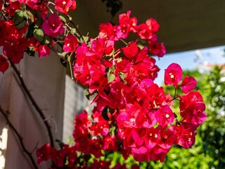 Apartamento Dubrovnik Grabación al aire libre 13