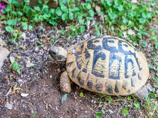 Apartment Dubrovnik Außenaufnahme 8