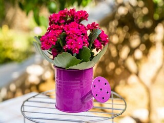 Apartamento Dubrovnik  37