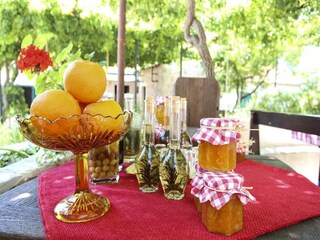 Appartement Orasac  12