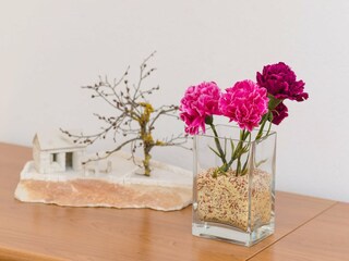 Appartement Cavtat Kenmerken 13