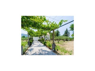 Holiday house Gruda Outdoor Recording 4