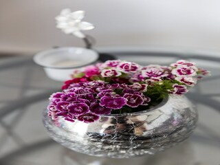 Apartamento Dubrovnik Características 8