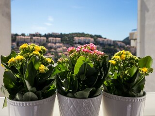 Apartamento Dubrovnik  28