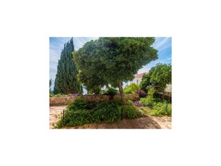 Appartement Dubrovnik  19