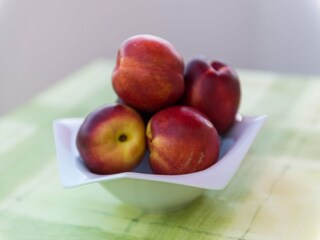 Appartamento Mlini Registrazione all'aperto 5