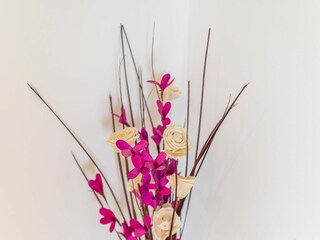 Appartement Cavtat  28