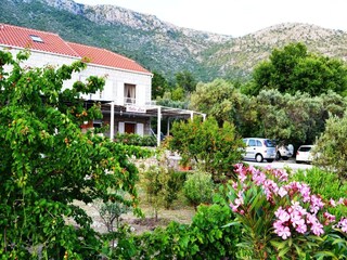Villa Brsecine Buitenaudio-opname 7