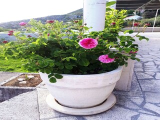 Apartamento Brsecine Grabación al aire libre 1