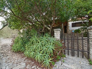 Casa per le vacanze Vela Luka Registrazione all'aperto 4